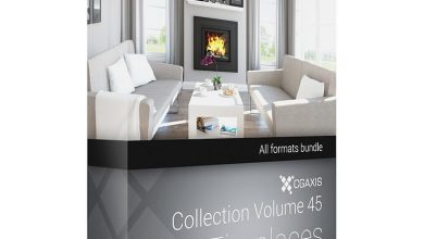 Download Cgaxis Models Volume.045 3d Fireplaces