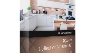 Download Cgaxis Models Volume.061 3d Kitchen Appliances