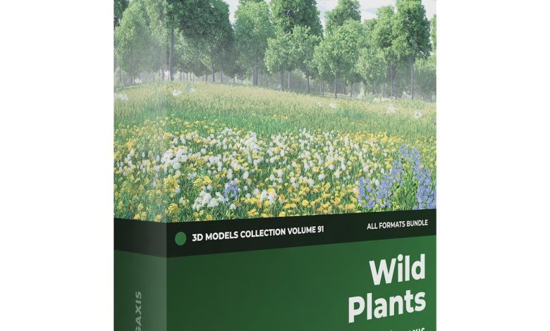 Download Cgaxis Models Volume.091 Wild Plants