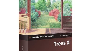 Download Cgaxis Models Volume 100 Trees XI