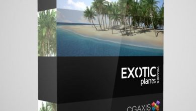 Download CGAxis Models Volume 15 Exotic Plants