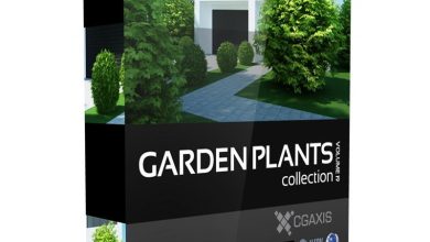 Download CGAxis Models Volume 19 Garden Plants