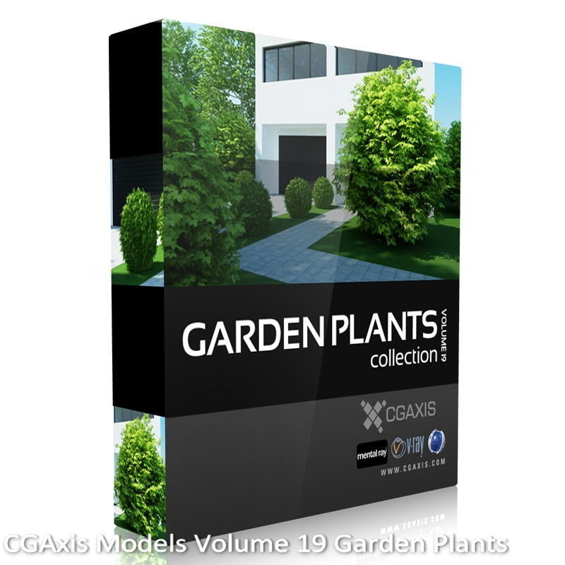 Download CGAxis Models Volume 19 Garden Plants