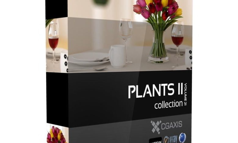 Download CGAxis Models Volume 21 Plants II
