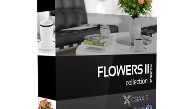 Download CGAxis Models Volume 26 Flowers II