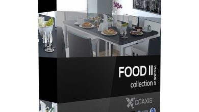 Download CGAxis Models Volume 29 Food II
