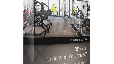 Download CGAxis Models Volume 57 3D Gym Equipment