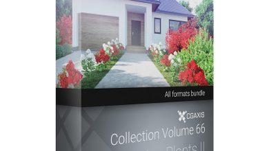 Download CGAxis Models Volume 66 Garden Plants II