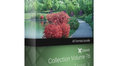 Download Cgaxis Models Volume 76 Trees X