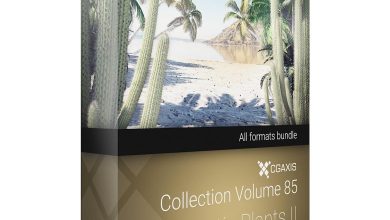 Download CGAxis Models Volume 85 Exotic Plants II