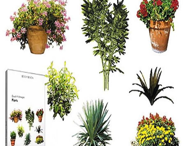 DOSCH 2D Viz-Images: Plants free download