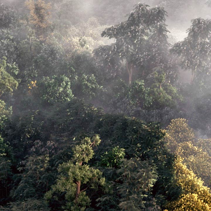 Building a Realistic Aerial Forest Scene in 3ds Max free download Pluralsight