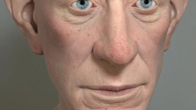 Realistic Skin Shading, Lighting, and Rendering in 3ds Max and V-Ray pluralsight free download