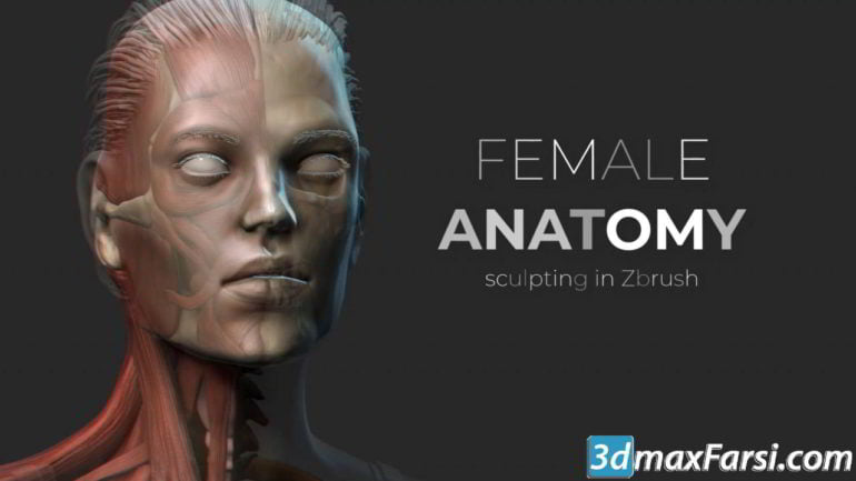 udemy - female anatomy sculpting in zbrush