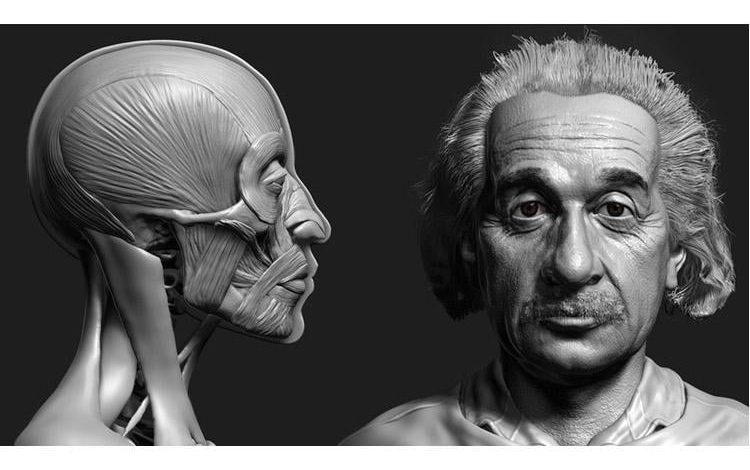 Udemy – Zbrush Facial Anatomy and Likeness Character Sculpting free download