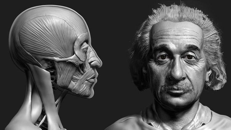 Zbrush Facial Anatomy and Likeness Character Sculpting free download
