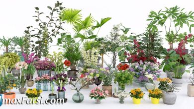 Evermotion – Archmodels Vol 173 indoor plants & flowers download