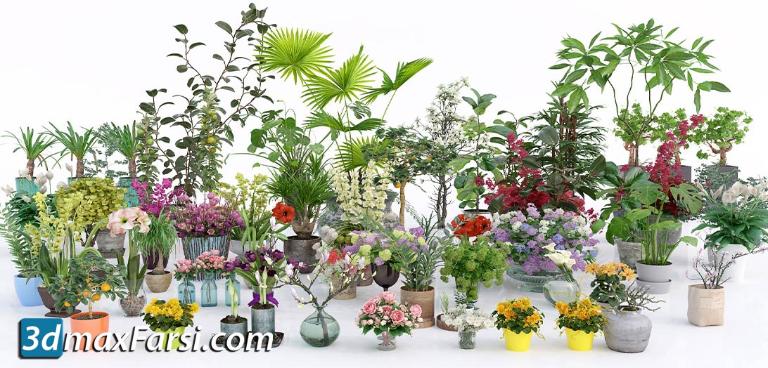 Evermotion – Archmodels Vol 173 indoor plants & flowers download
