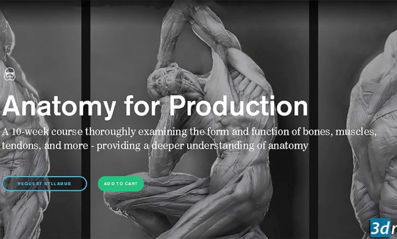 CGMaster Academy – Anatomy for Production free download