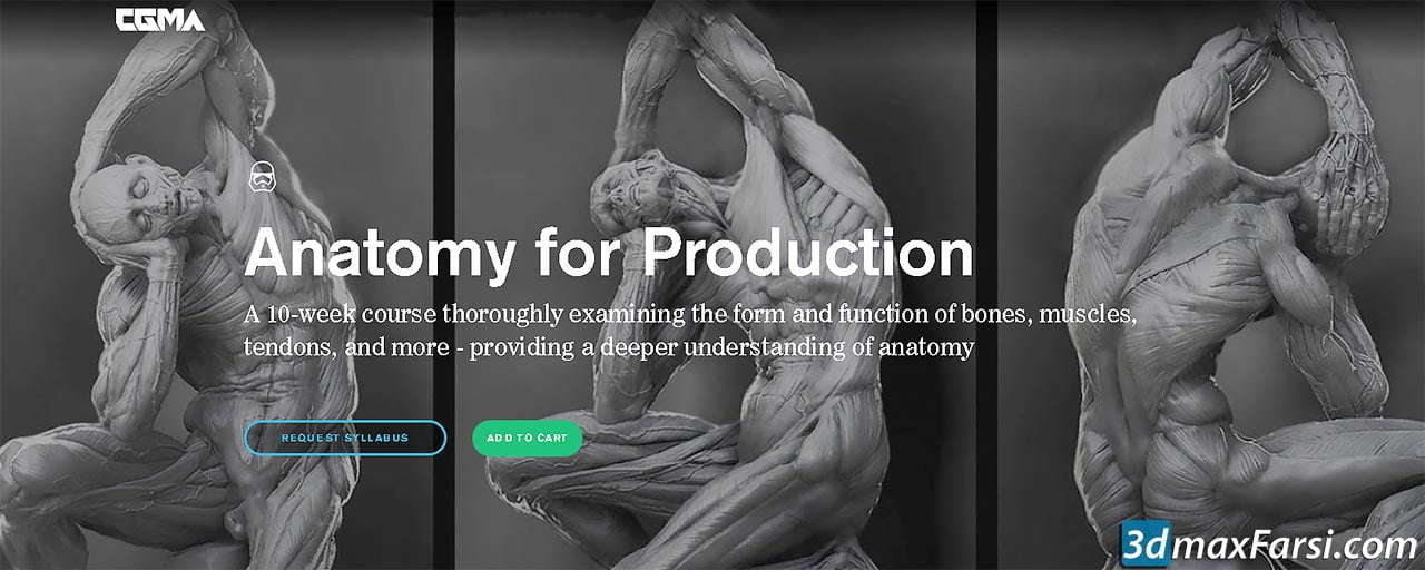 CGMaster Academy – Anatomy for Production free download
