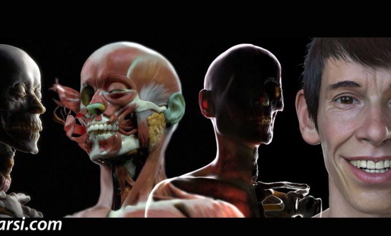 CG Master Academy – Character Facial Sculpting free download