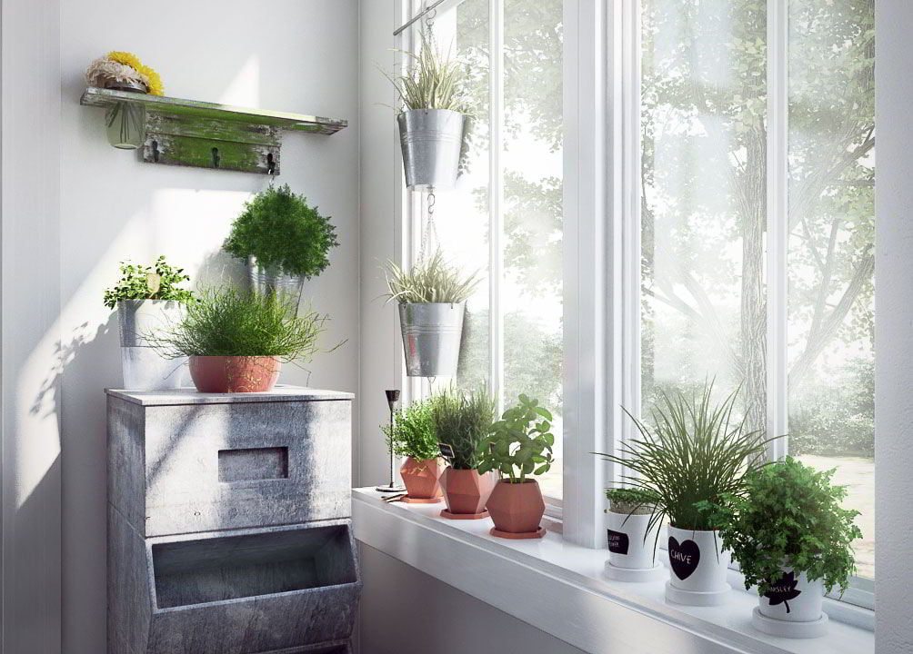 Evermotion – Archmodels Vol. 141 : indoor plants free download