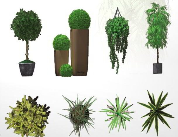 Dosch Viz-Images: Indoor Plants