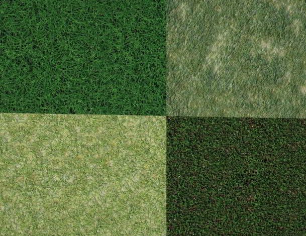 Dosch Textures: Grass Surfaces