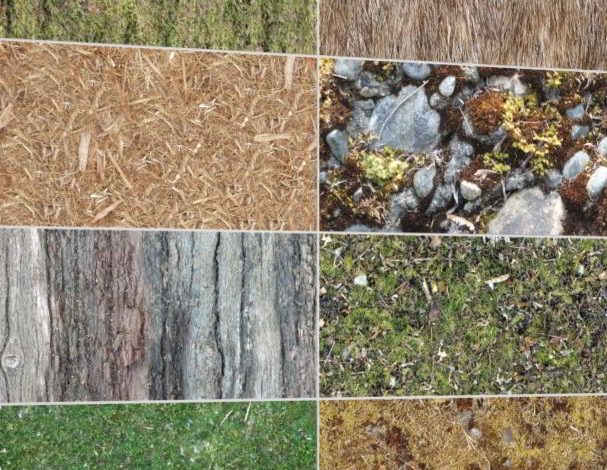 Dosch Textures: Plants & Nature V2
