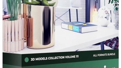 CGAxis – Interior Plants 3D Models Collection – Volume 111 free download