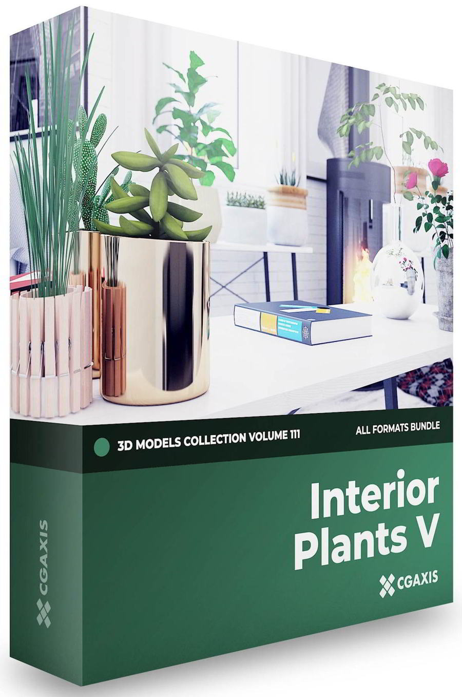 CGAxis – Interior Plants 3D Models Collection – Volume 111 free download