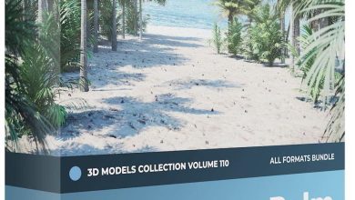 CGAxis – Palm Trees 3D Models Collection – Volume 110 free download