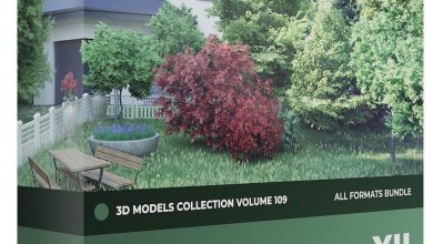 CGAxis – Trees 3D Models Collection – Volume 109 free download