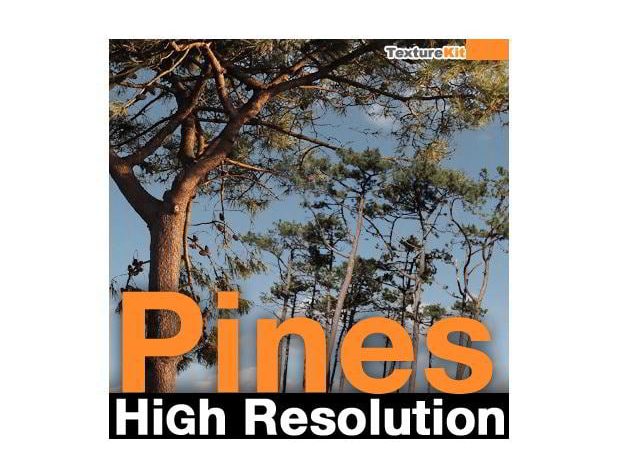 TurboSquid – Pines High Resolution Textures free download