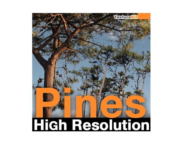 TurboSquid – Pines High Resolution Textures free download