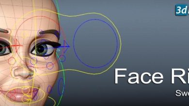 CGCircuit – Face Rigging free download