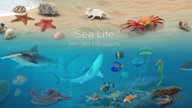 PixelSquid – Sea Life Collection free download