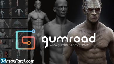 Gumroad - Design and Anatomy Package free download