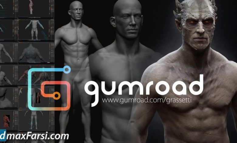 Gumroad - Design and Anatomy Package free download