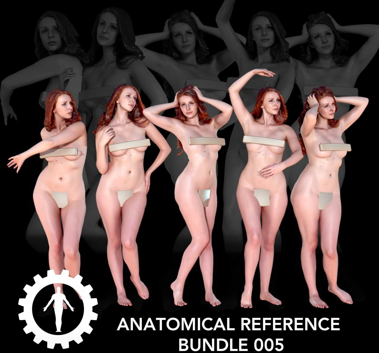 Anatomical Reference Bundle 005 free download
