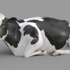 TURBOSQUID – COW PRO ( HOLSTEIN ) 3D MODEL BY MOTIONCOW