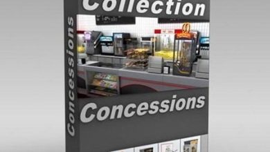 DigitalXModels – Volume 09 – Concessions free download