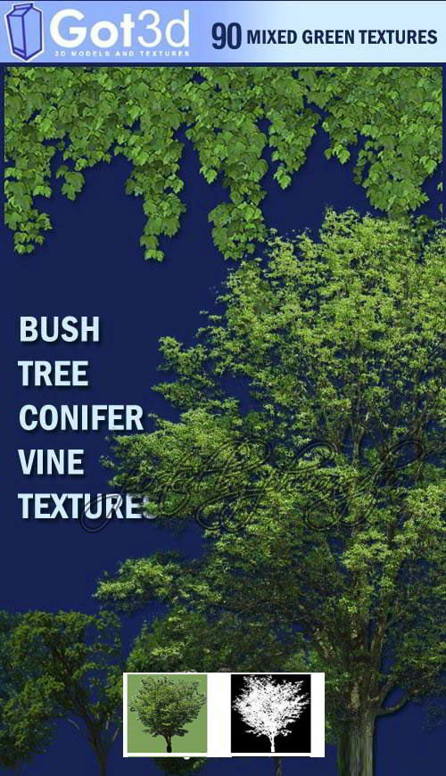 Got3D – Tree & Vine 90 Textures with Alpha Files