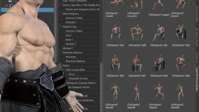 Daz3d, LayLo3D Pose Library for Maya free download