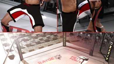 Daz3d, MMA Fighter Bundle free download
