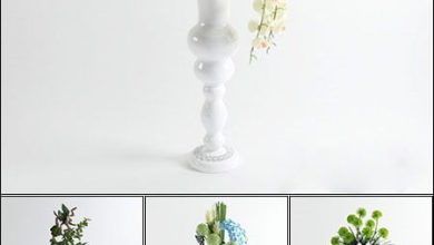 3D Models Floor Vases Flower Collection from 3D66 free download
