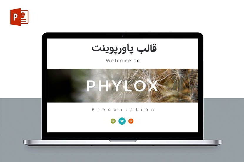creativemarket PHYLOX Maximal POWERPOINT Template free download