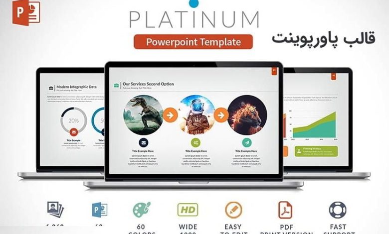 creativemarket - Platinun Powerpoint Presentation free download