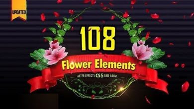 Videohive : 108 Flower Elements free download
