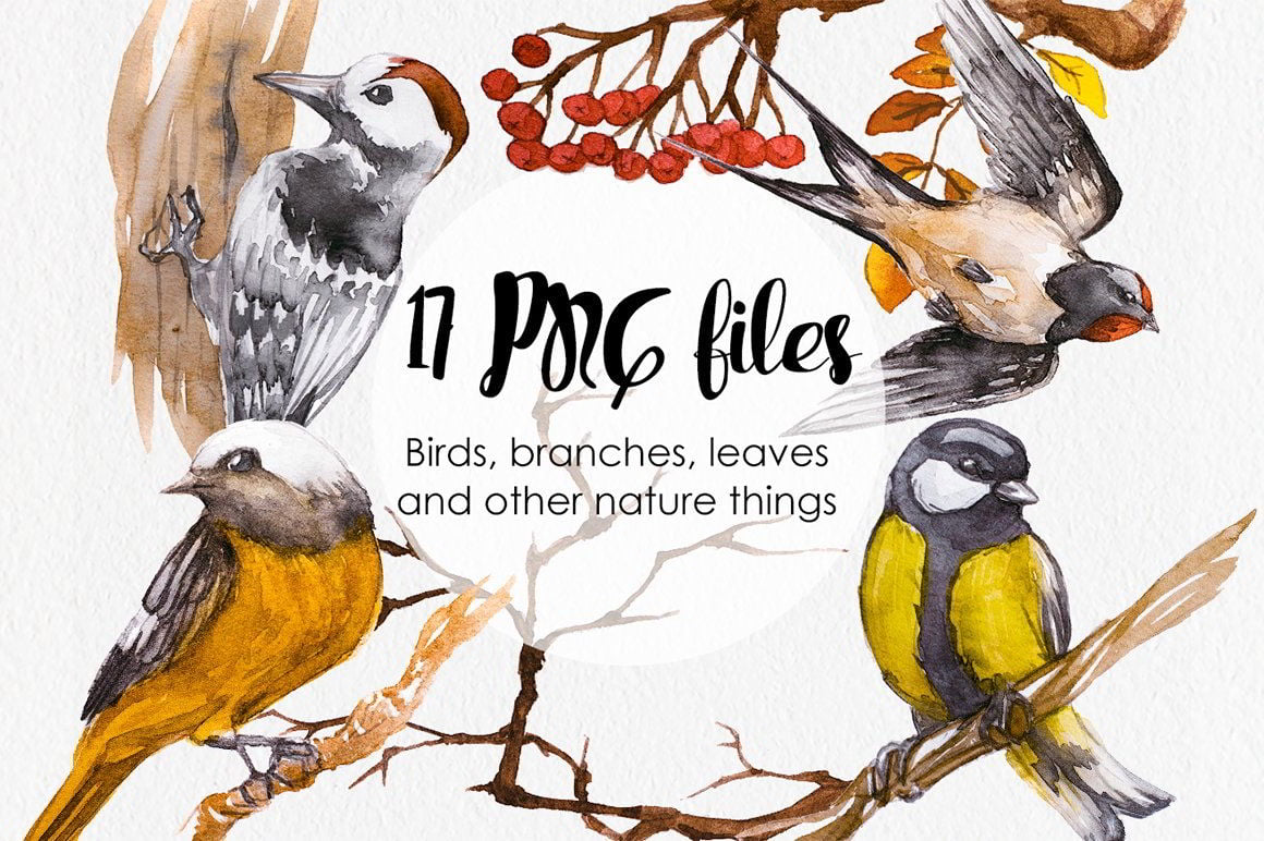 Creativemarket - Watercolor Russian Birds free download